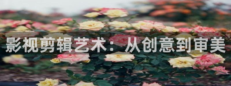 大地电影中文版：影视剪辑艺术：从创意到审美