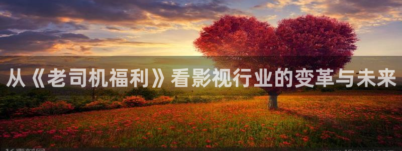 尚志大地电影院放映表：从《老司机福利》看影视行业的变革与未来
