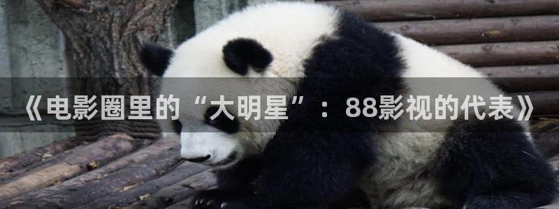 大地影院mv在线观看免费：《电影圈里的“大明星”：88影视的代表》