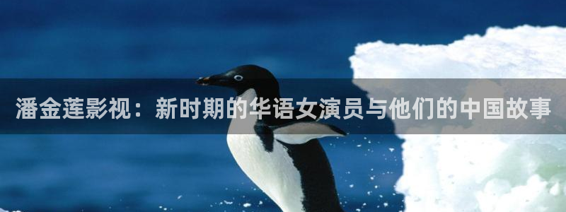大地影院第二页免费观看官网：潘金莲影视：新时期的华语女演员与他们的中国故事