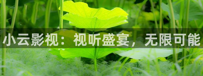 电影大地摇篮曲：小云影视：视听盛宴，无限可能
