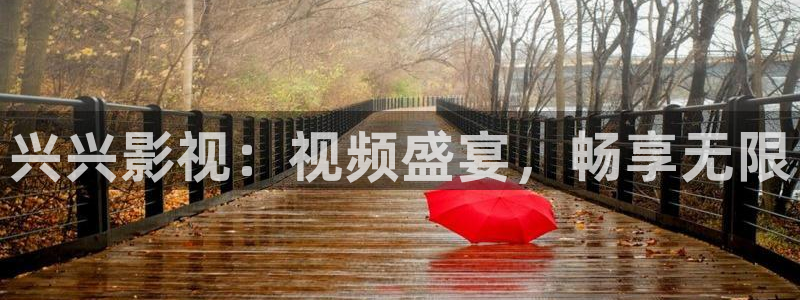 大地影院在线播放官网：兴兴影视：视频盛宴，畅享无限