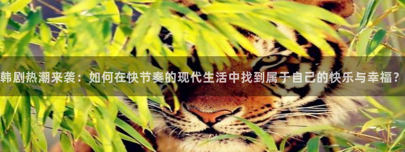 苍南大地影院：韩剧热潮来袭：如何在快节奏的现代生活中找到属于自己的快乐与幸福？