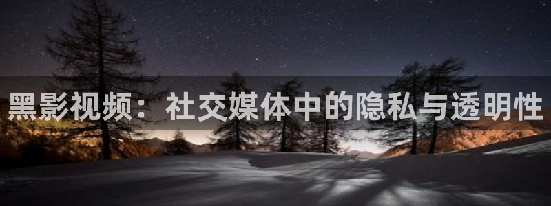 原大地影院：黑影视频：社交媒体中的隐私与透明性